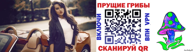 Галлюциногенные грибы MAGIC MUSHROOMS  Купить закладки  Отрадный 